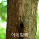 피크닉바람