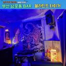 블라인드타이거 네이버블로그