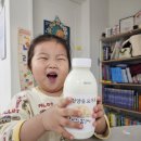 영동목장 | 돌아기우유 고민 끝 해맑은목장 유기농산양유와 산양유요거트 후기