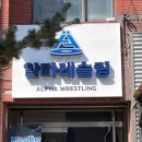 알파레슬링