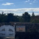 강정동-35 이미지