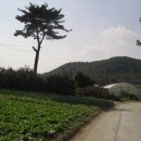 월문4리 티스토리