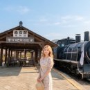 섬진강기차마을 제3주차장 | 곡성 세계장미축제 2026 일정 총정리｜섬진강 기차마을 1004종 장미 여행 가이드