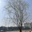 호수부분정비 | 시흥 가볼만한곳 은계 호수공원 산책 후기