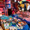 미정식당 | 부산 자갈치시장 분위기 맛집 포항식당 포함 여행 코스 추천