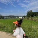 사벌치킨