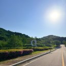 (주)에어팍스 | 안성 골프장 추천 골프클럽Q 밸리, 팜파스 코스 야간 노캐디 비용 및 후기 내돈내산