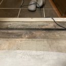 대동다숲아파트 앞 이미지