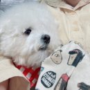 시흥점타이어뱅크 | 타이어뱅크 시화점 방문기 [suv 타이어 네짝 갈기]