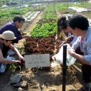 승은농장 이미지