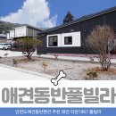 안면도 타운1967 애견 풀빌라 이미지