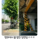 정각 이미지