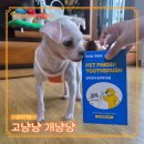 이뿌개해줄개 | [소형 강아지 칫솔] 고냥냥 개냥냥 : 양치 거부 댕댕이를 위한 강아지 손가락 칫솔 양치질 후기