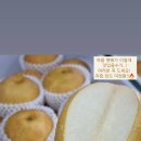 한아름청과 - 안양시 동안구 경수대로556번길 14 | 한아름청과