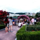 조선대학교 장미원 이미지