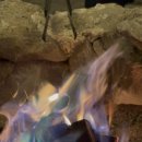 노스토스 이미지