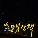 달빛 1교 | [서울/노원] 2025 노원 달빛산책 애견동반 방문기_스탬프 투어 위치 및 주차 꿀팁