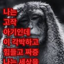 별밤포차 - 45782 | 별밤포차