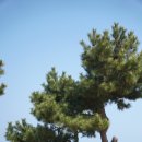 국립수산과학원 | 부산 기장 아이랑 가볼만한 곳 국립수산과학원 무료 아쿠아리움