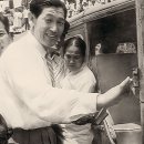 이슬나무