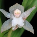 비산고가 아래 이미지