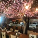 광주청과62번직판장 | 쓔기 :: 광주 진월동 스시 맛집, 야미스시