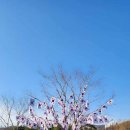 산책하다