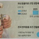 대동동물병원 이미지