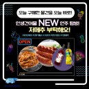 저메추 추천 부탁드립니다! &amp; 궁금해!! [인생건어물당일직배몰] &amp; 오늘드림