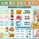 눈 영양제 완전 정복: 루테인·아스타잔틴·오메가3, 내 눈에 맞는 선택법