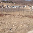 주덕읍사무소 이미지