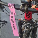 산악랠리100 이미지