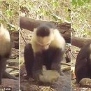 석기시대 이미지