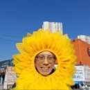 전따라막걸리따라 이미지