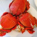 바다튀김 이미지