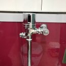 새(고경) 이미지