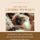 장판24시 이미지