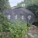 창일농장 이미지