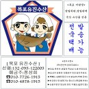 [3월21일] 관자,농어,세하새우,홍합살,바지락살,뻘낙지,새꼬막,피조개,건조갈치,냉동참조기 이미지