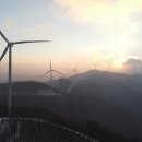 중부-현장-중부-774 이미지