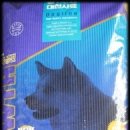 도그피아 이미지