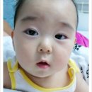 (주)효찬