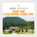 민종식고택 | 안성 선비마을과 오정방 고택의 여름