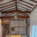 스테이노은 이미지