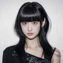 아르결 이미지