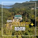 청곡농장 | 단풍 명소 대통령 별장 청남대 당일치기 청주 여행