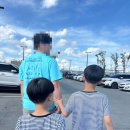 세종 코스트코 방문기 🚗 회원권 발급부터 푸드코트까지 솔직 후기
