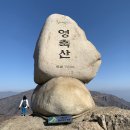 산사모 산악회 2021년3월28(일) 영축산,신불산,간월산 번개산행 이미지