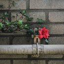 센트럴울산치과의원 이미지