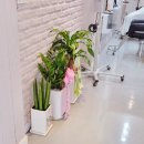 박쌤헤어 - 아산시 | 박쌤헤어
